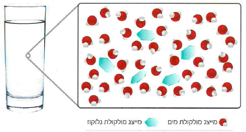(בספר תמונה, היעזר במנחה)